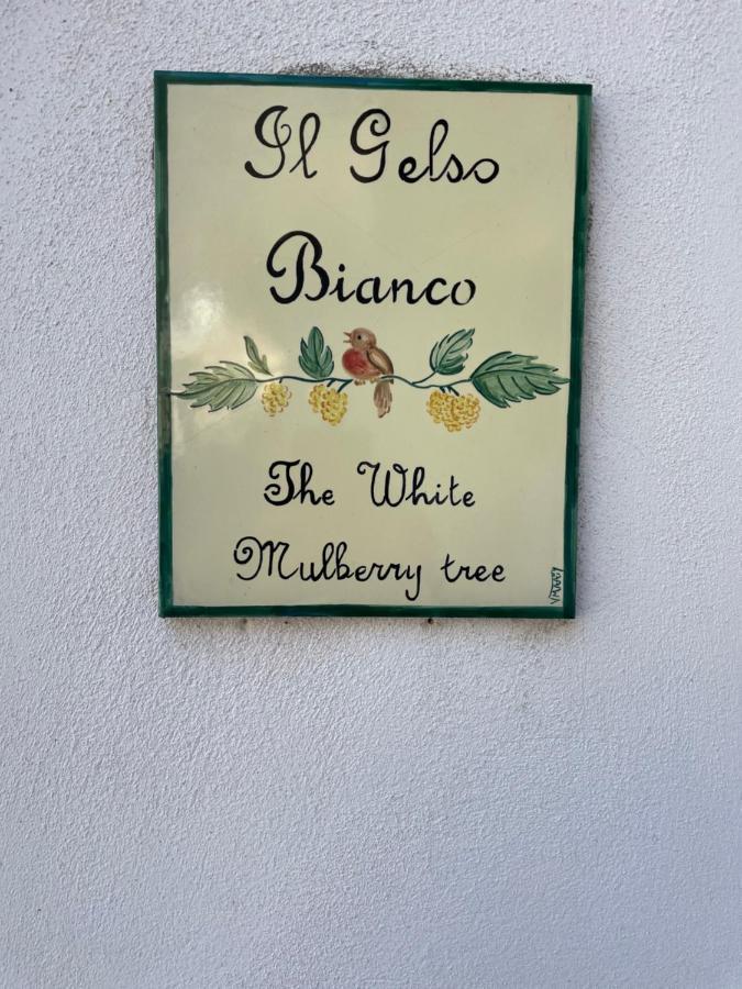 Il Gelso Bianco -The White Mulberry Tree Vila Ravello Exterior foto